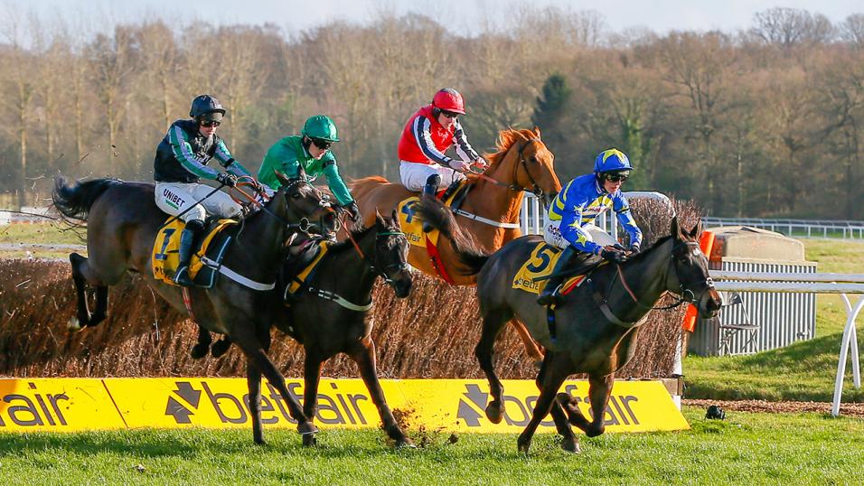 Dynamite Dollars jumps racehorse